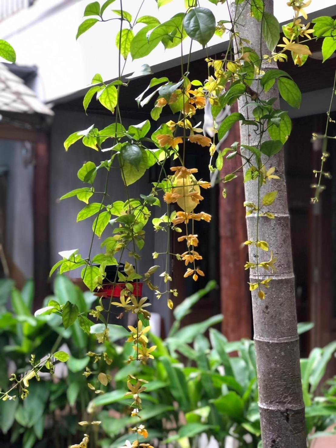 Khammon Lanna Resort Chiang Mai Dış mekan fotoğraf