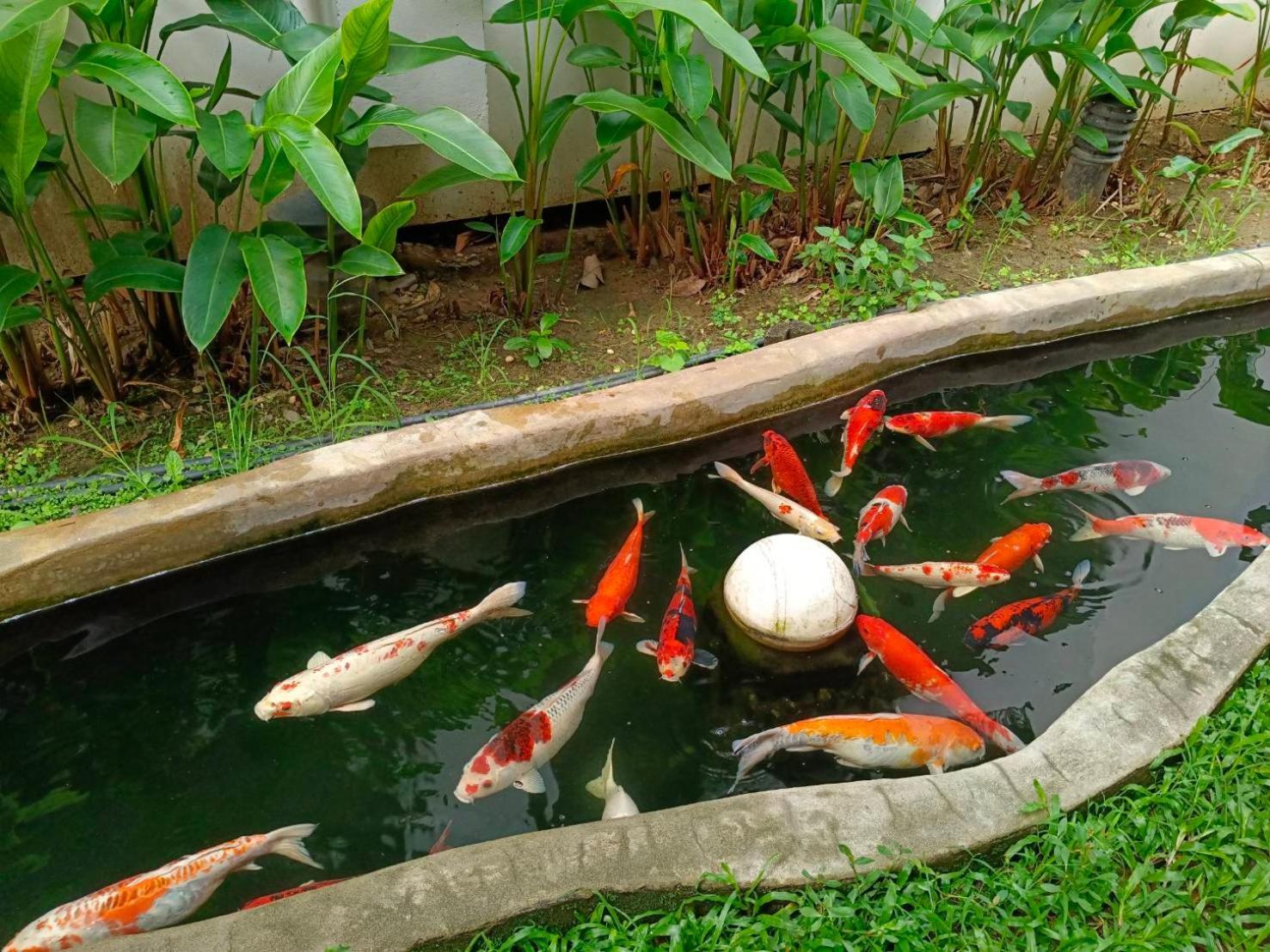 Khammon Lanna Resort Chiang Mai Dış mekan fotoğraf